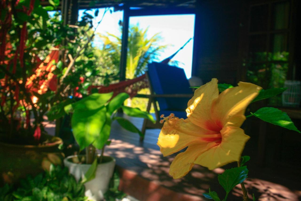 Villa Maree Praia de Pipa Exteriör bild